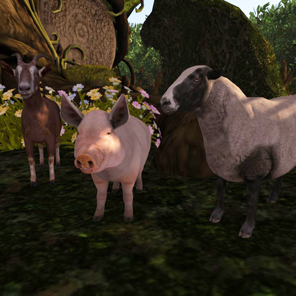 Farm Animals