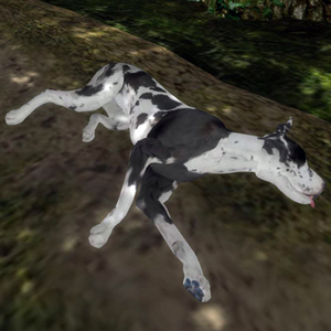 Great Dane
